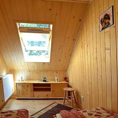 Orman Evi Ogrzewane Sokol